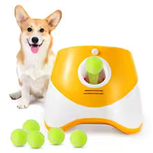 With the your lovely Dog