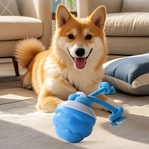Gives more active your dog